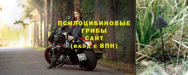 дживик Медногорск