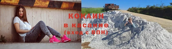 ПСИЛОЦИБИНОВЫЕ ГРИБЫ Магас