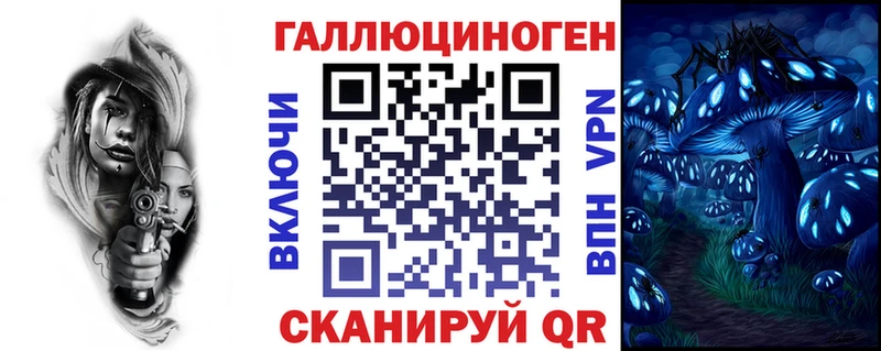 Псилоцибиновые грибы Psilocybe  Купить где  Михайлов 